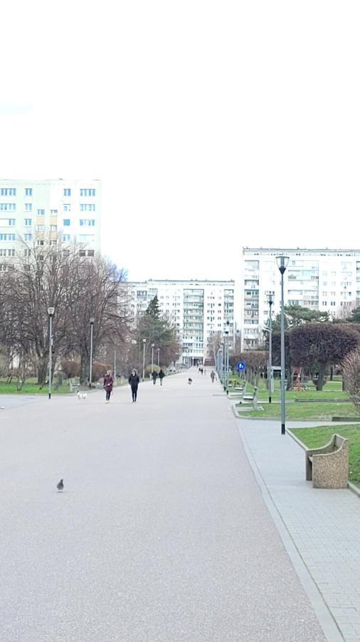 Apartament Zabcia - Przy Skm Zabianka Kolo Sopotu グダニスク エクステリア 写真